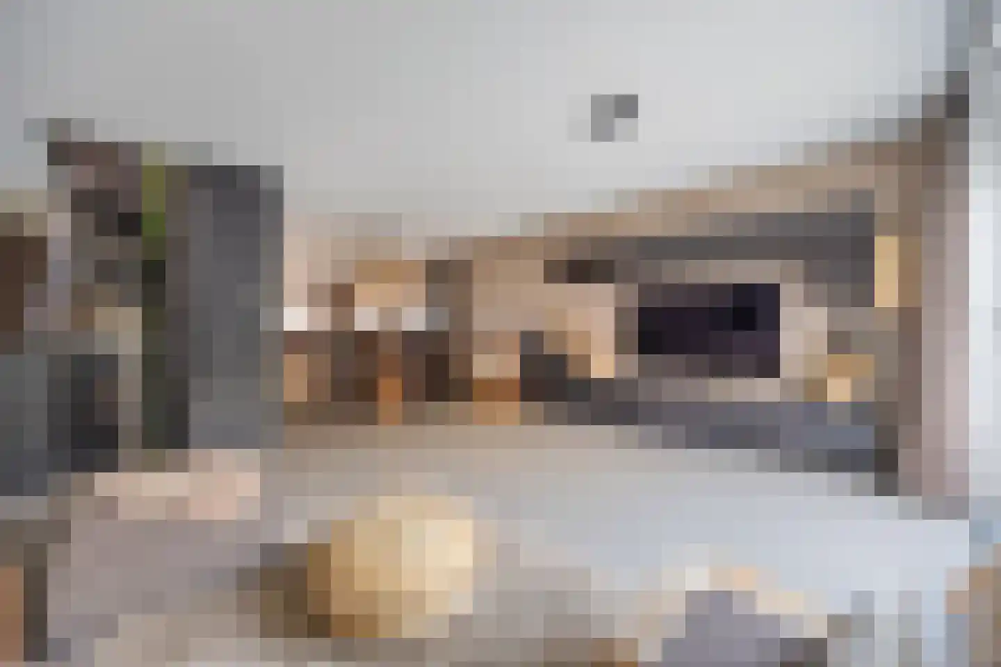 Het Bolwerk 66 Breda thumbnail 16