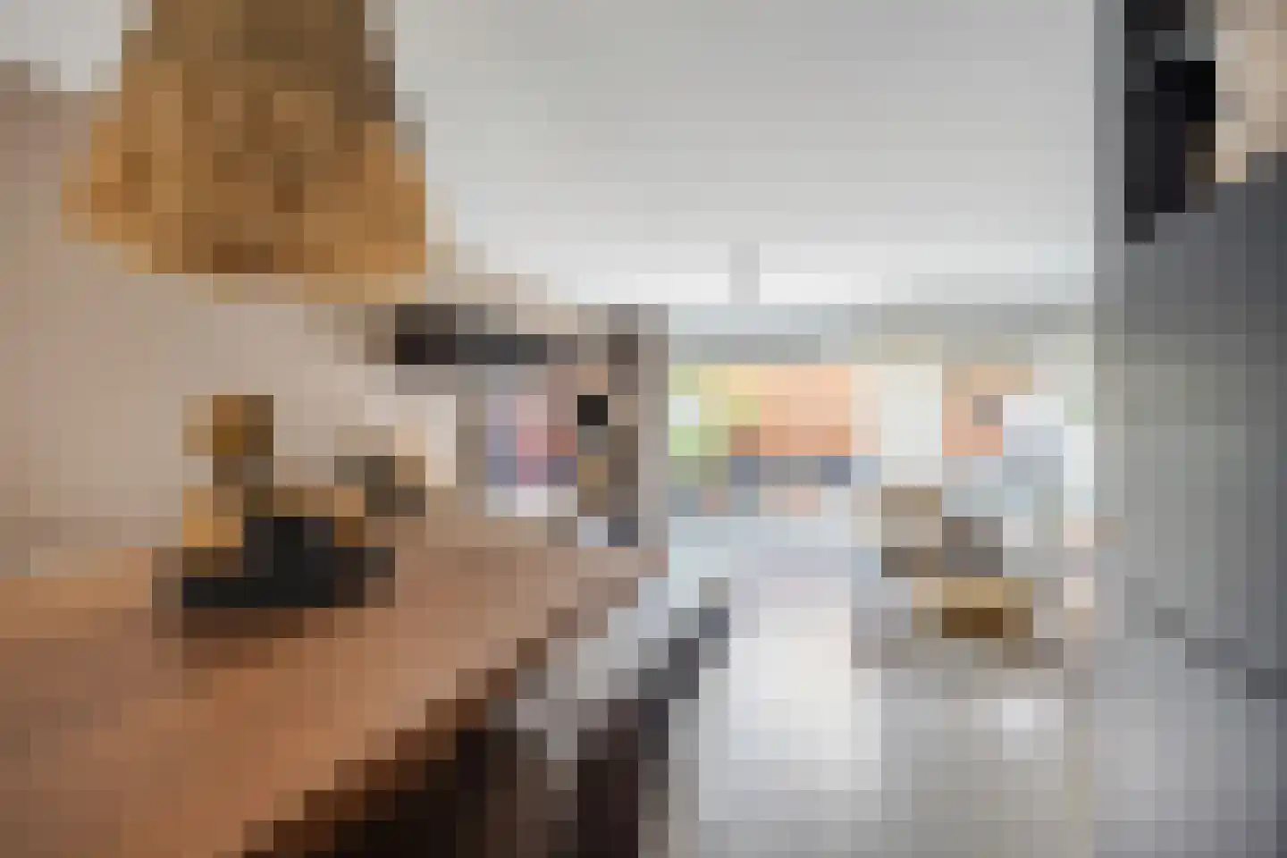 Het Bolwerk 66 Breda thumbnail 20