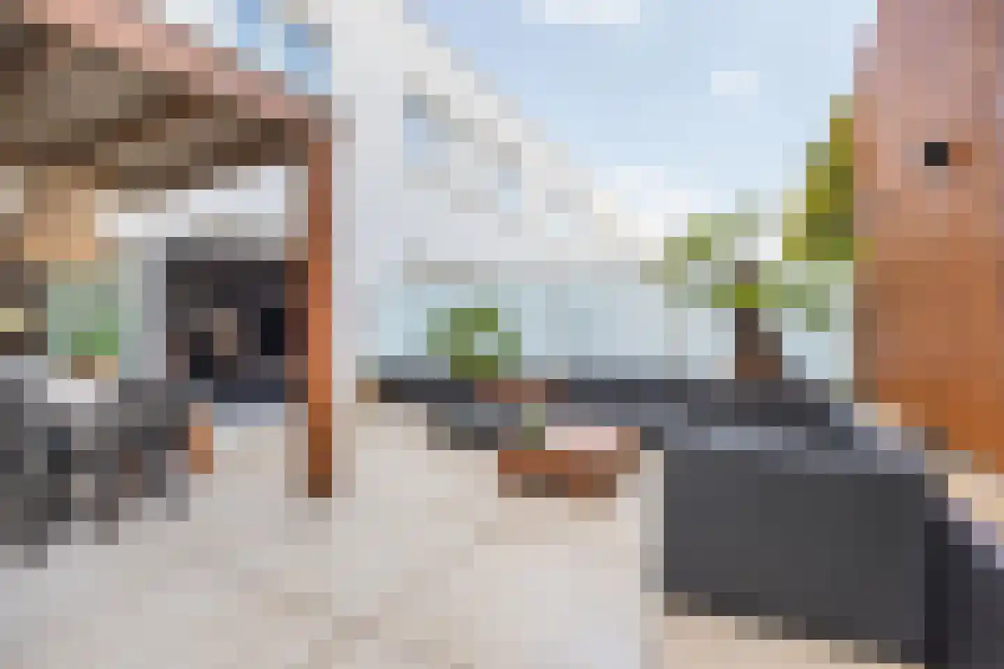 Het Bolwerk 66 Breda thumbnail 24