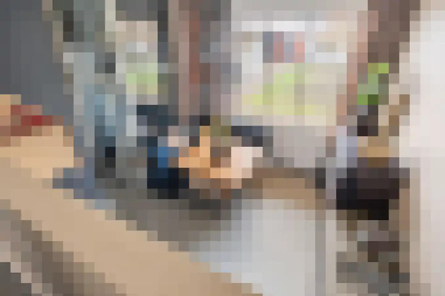 Het Bolwerk 66 Breda thumbnail 26