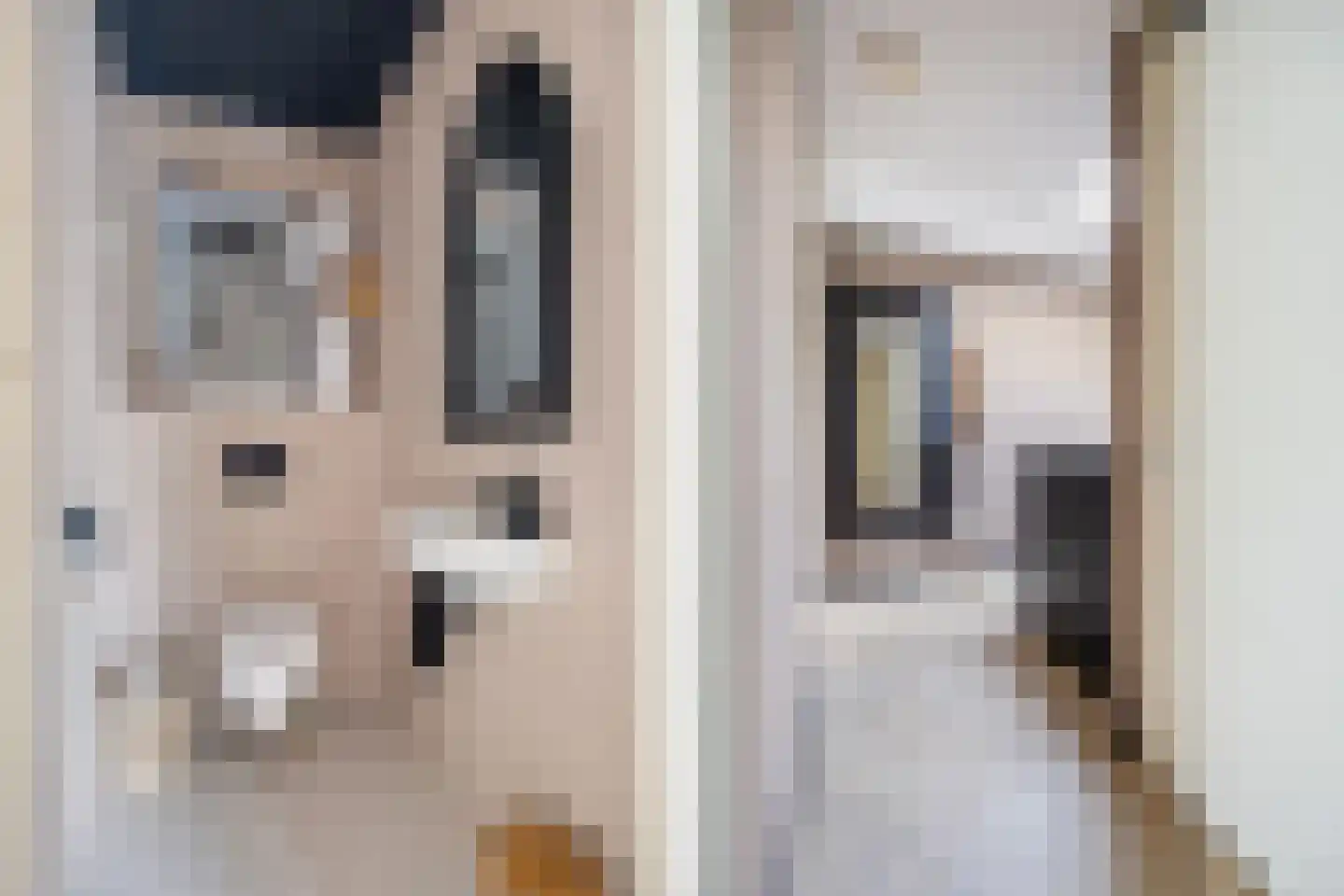 Het Bolwerk 66 Breda thumbnail 36