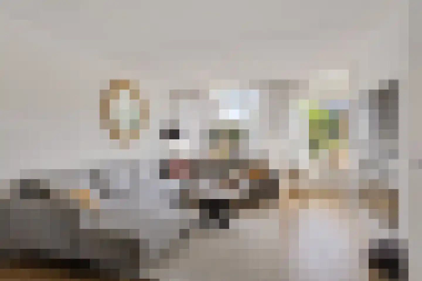 Het Bolwerk 7 Steenwijk thumbnail 10