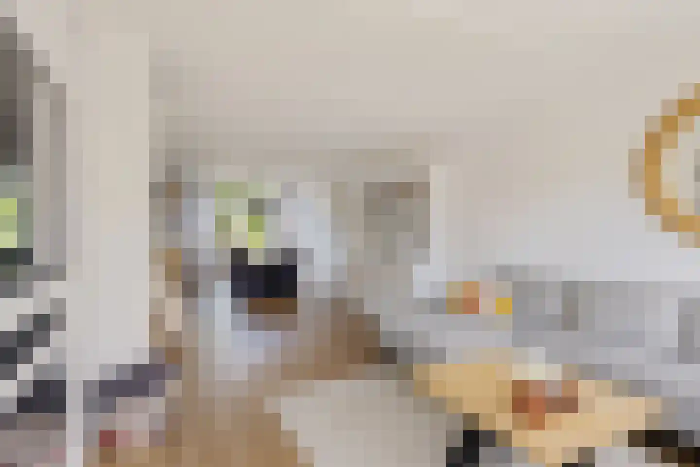 Het Bolwerk 7 Steenwijk thumbnail 11