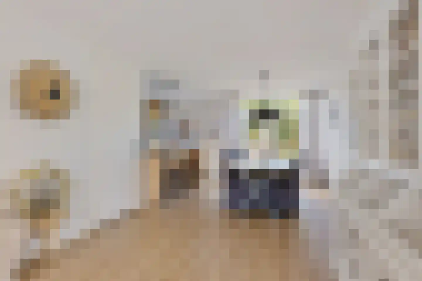 Het Bolwerk 7 Steenwijk thumbnail 13