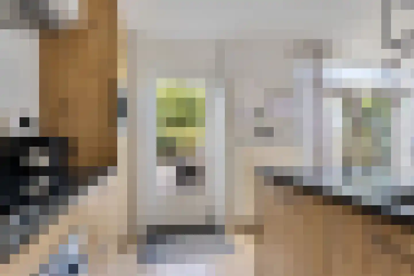 Het Bolwerk 7 Steenwijk thumbnail 16