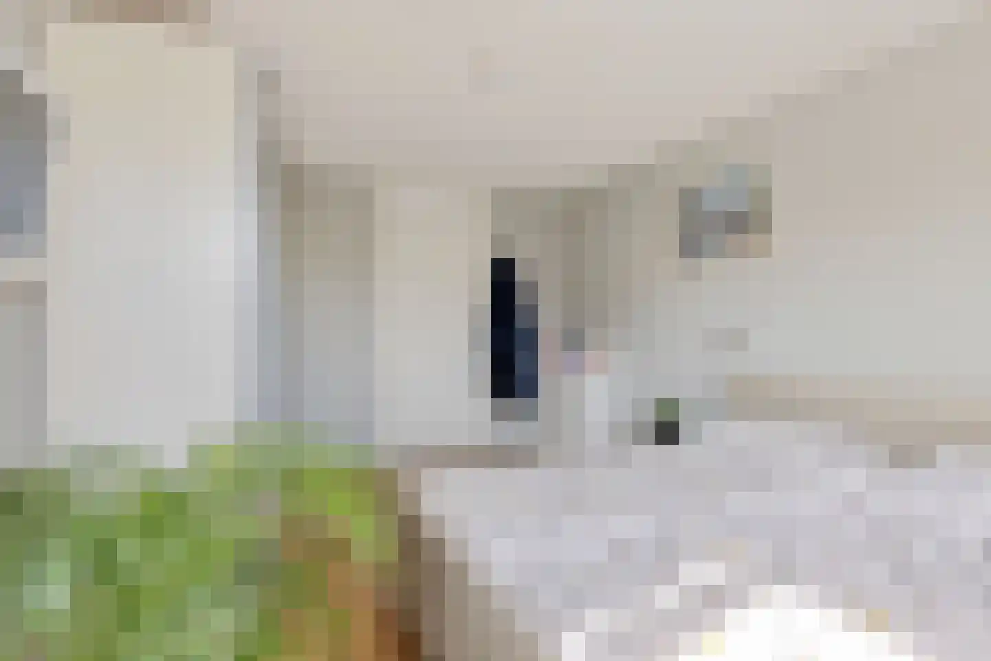 Het Bolwerk 7 Steenwijk thumbnail 25