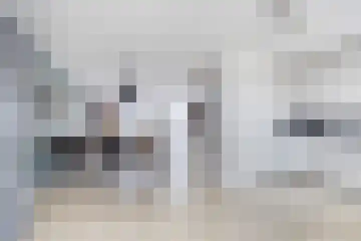 Het Bolwerk 72 Steenwijk thumbnail 12