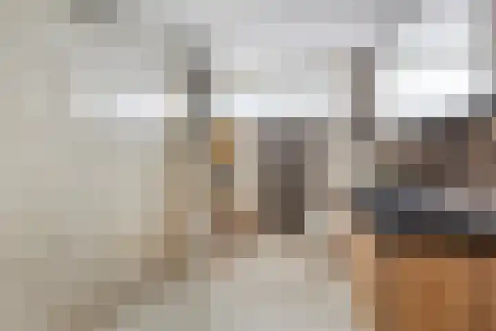 Het Bolwerk 72 Steenwijk thumbnail 18