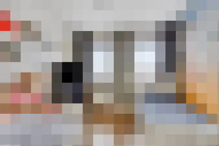Het Bolwerk 72 Steenwijk thumbnail 20