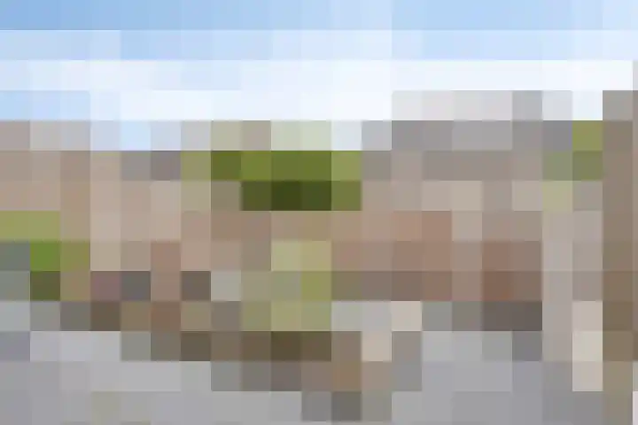 Het Bolwerk 72 Steenwijk thumbnail 22
