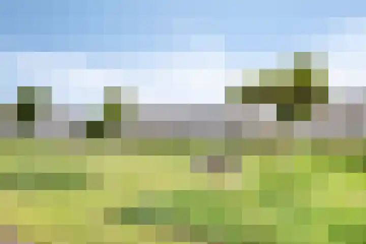 Het Bolwerk 72 Steenwijk thumbnail 26