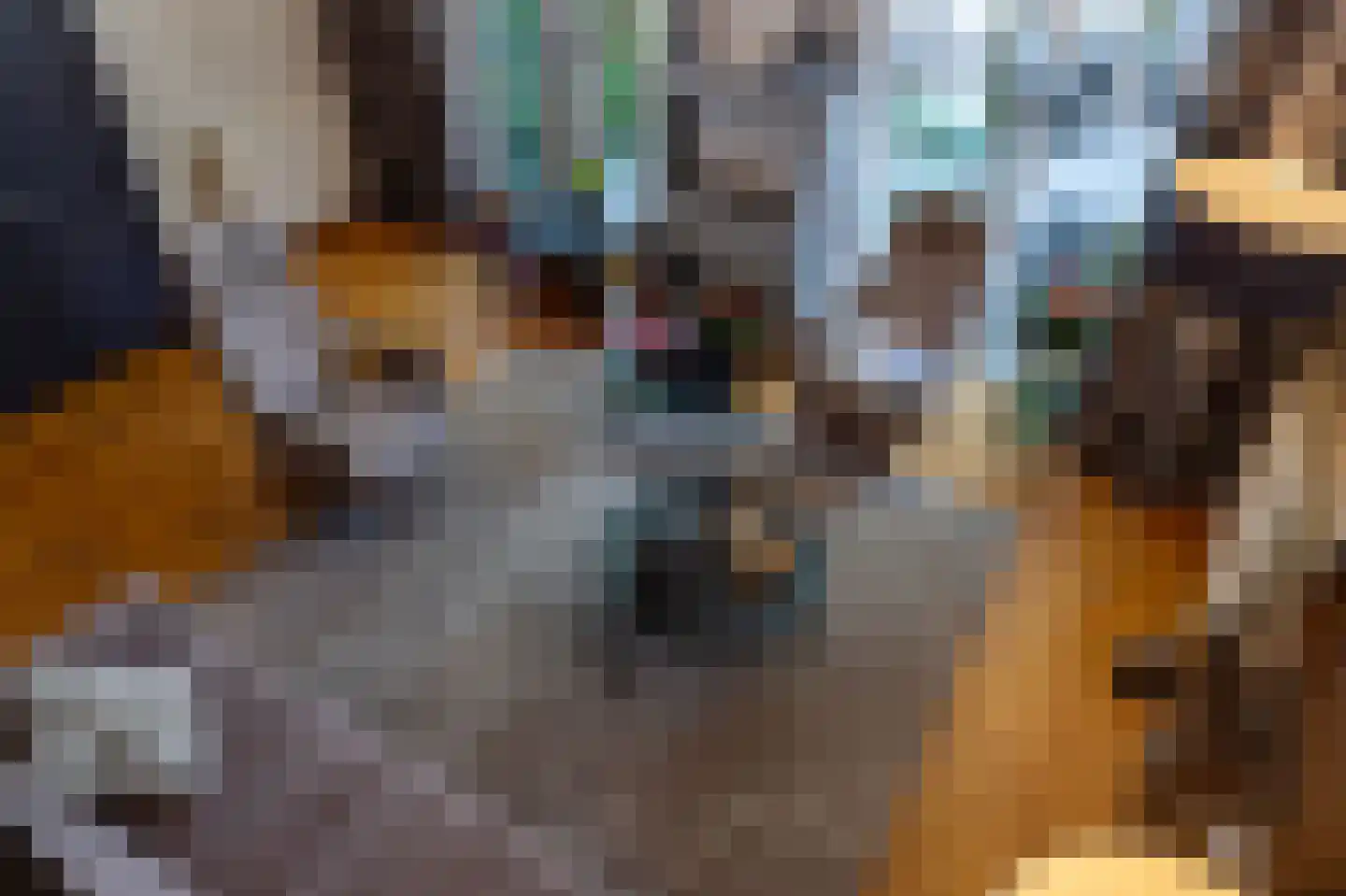 Het Bolwerk 73 Steenwijk thumbnail 13