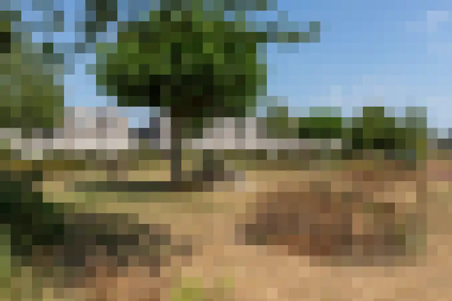 Het Bolwerk 73 Steenwijk thumbnail 49