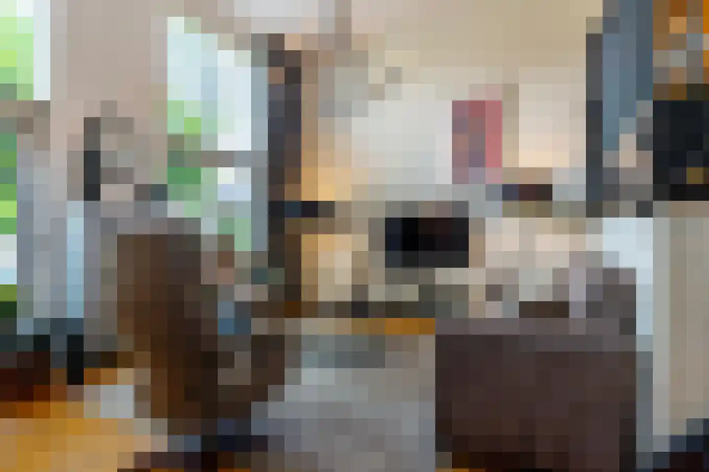 Het Bolwerk 73 Steenwijk thumbnail 8