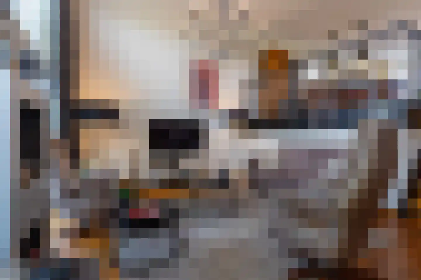 Het Bolwerk 73 Steenwijk thumbnail 9