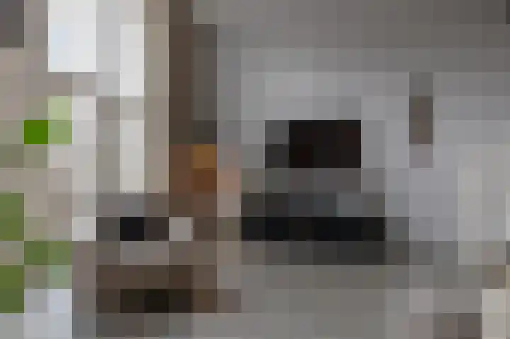 Het Bolwerk 74 Steenwijk thumbnail 13