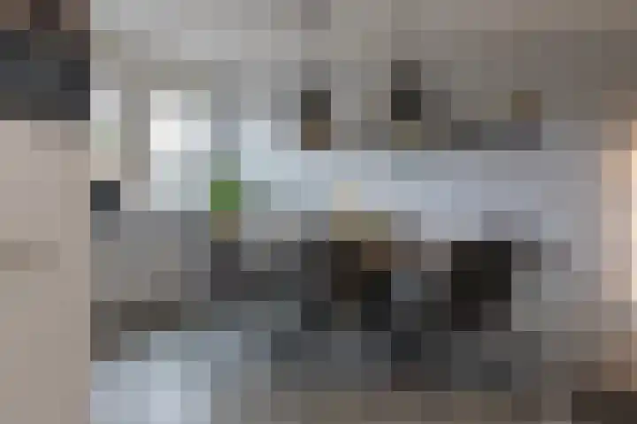 Het Bolwerk 74 Steenwijk thumbnail 20