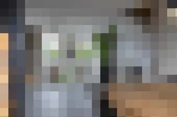 Het Bolwerk 74 Steenwijk thumbnail 22