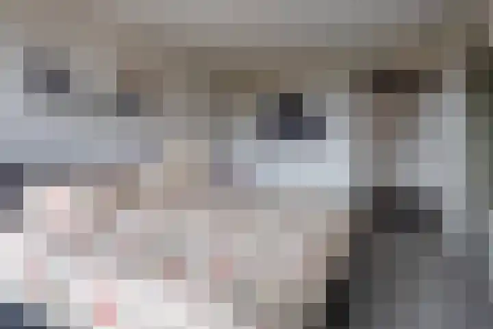 Het Bolwerk 74 Steenwijk thumbnail 30