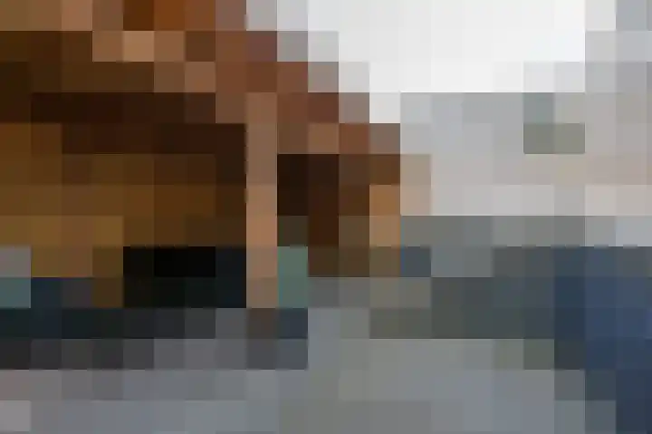Het Bolwerk 74 Steenwijk thumbnail 38