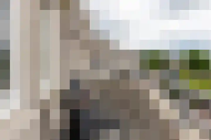 Het Bolwerk 74 Steenwijk thumbnail 44