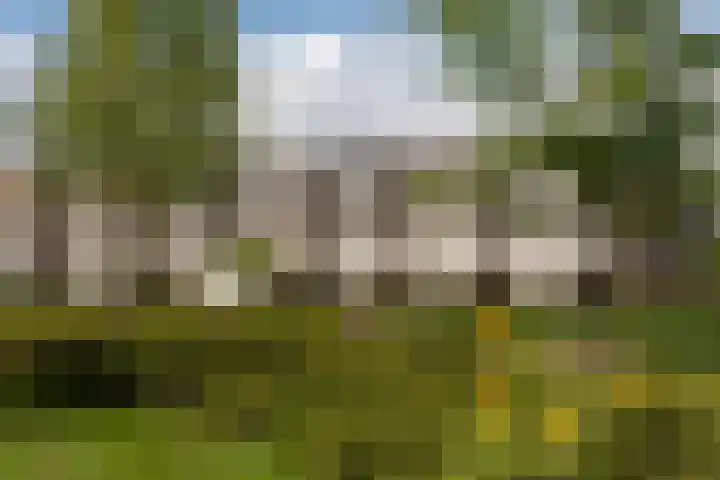 Het Bolwerk 74 Steenwijk thumbnail 49