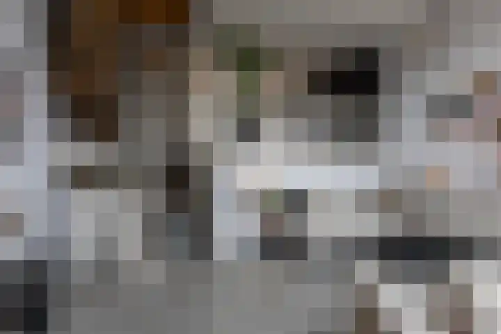 Het Bolwerk 74 Steenwijk thumbnail 9