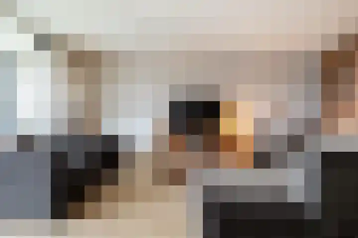 Het Bolwerk 79 Breda thumbnail 14