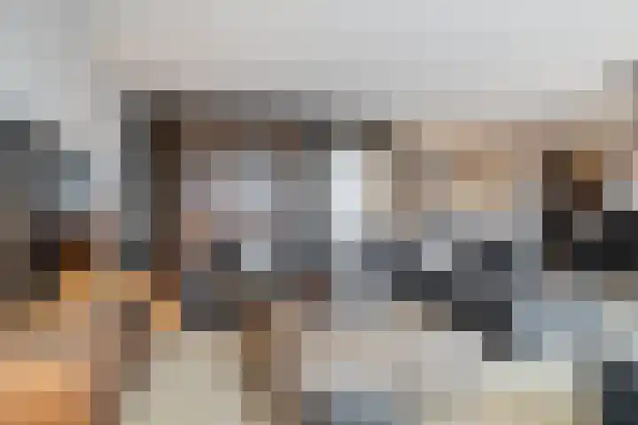 Het Bolwerk 79 Breda thumbnail 15