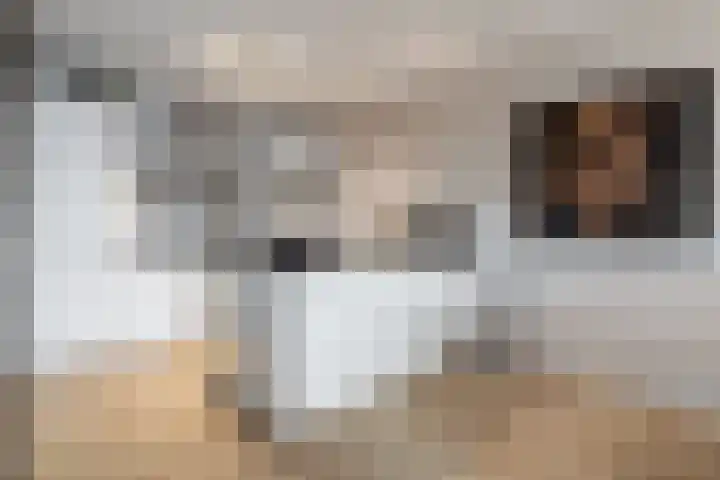 Het Bolwerk 79 Breda thumbnail 18