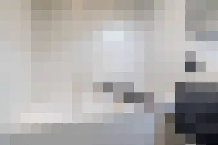 Het Bolwerk 79 Breda thumbnail 32