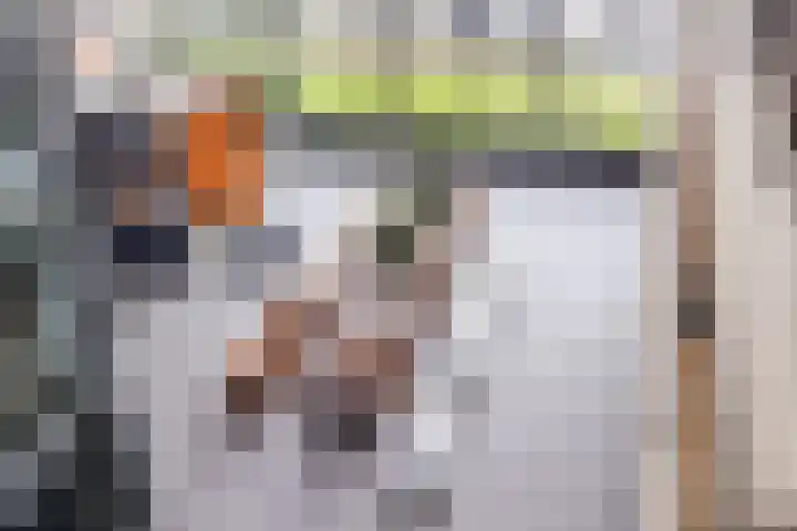 Het Bolwerk 79 Breda thumbnail 36