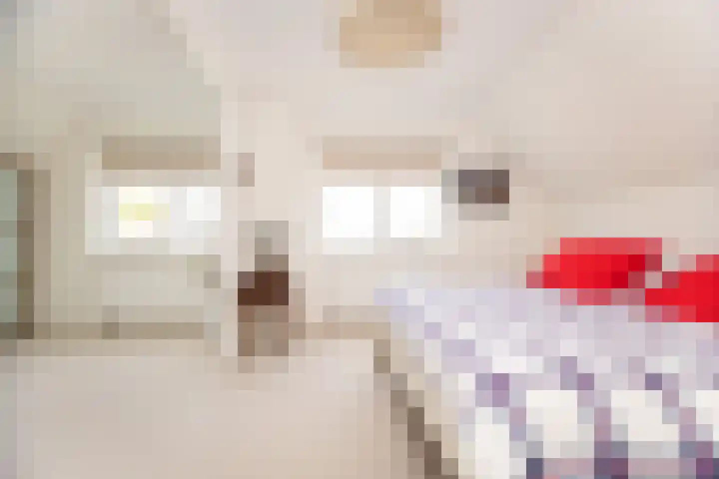 Het Bon 68 Wognum thumbnail 35
