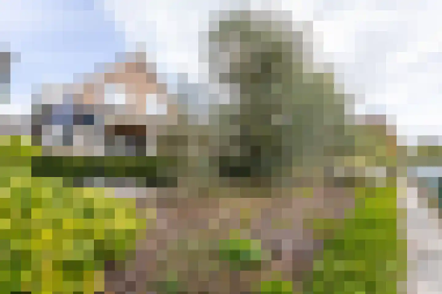 Het Bon 68 Wognum thumbnail 53