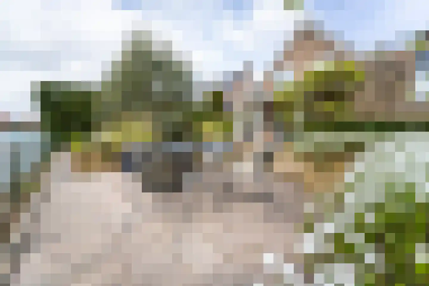 Het Bon 68 Wognum thumbnail 57