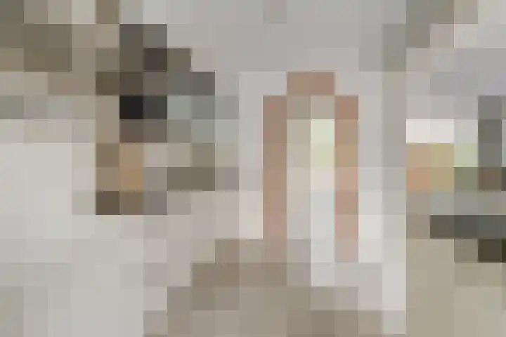 Het Bos 12 Meerkerk thumbnail 11
