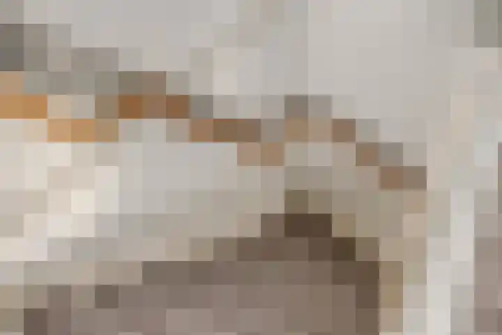 Het Bos 12 Meerkerk thumbnail 20