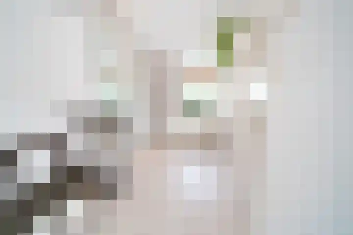 Het Bos 12 Meerkerk thumbnail 21