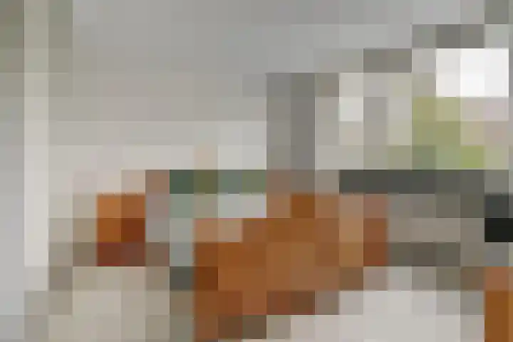 Het Bos 12 Meerkerk thumbnail 22