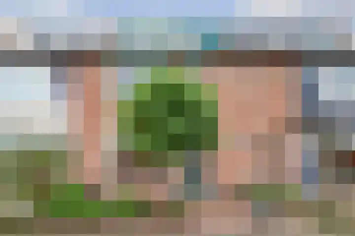 Het Bos 12 Meerkerk thumbnail 43