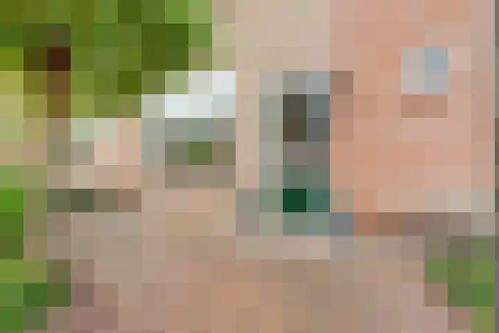 Het Bos 12 Meerkerk thumbnail 45