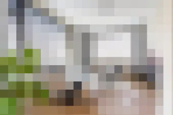 Het Bos 12 Meerkerk thumbnail 47