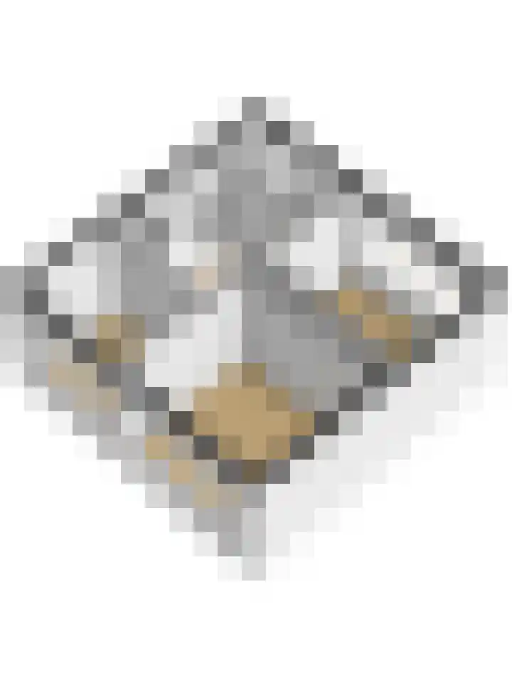 Het Bos 12 Meerkerk thumbnail 51