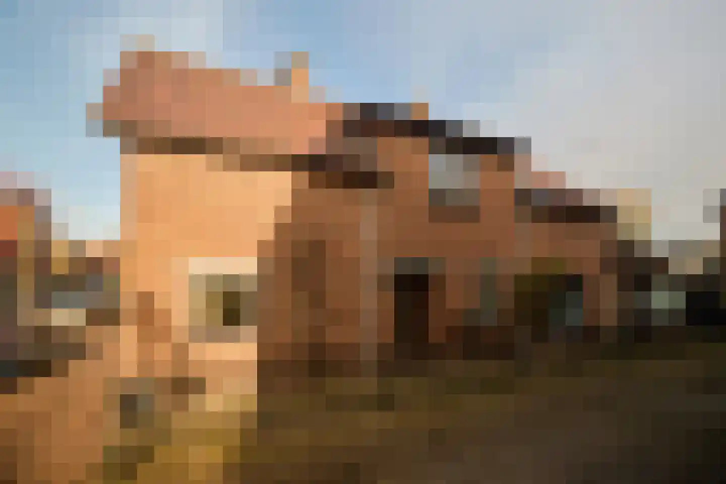 Het Bos 12 Meerkerk thumbnail 8