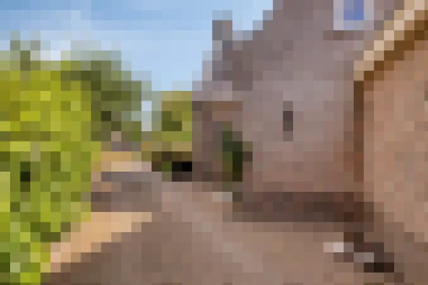 Het Bosje 31 Elst Ut thumbnail 10