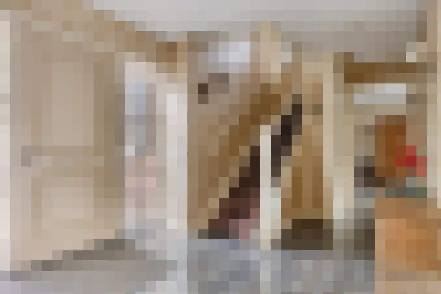 Het Bosje 31 Elst Ut thumbnail 12