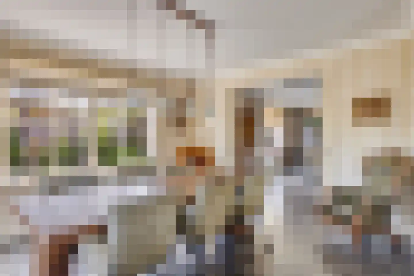 Het Bosje 31 Elst Ut thumbnail 19