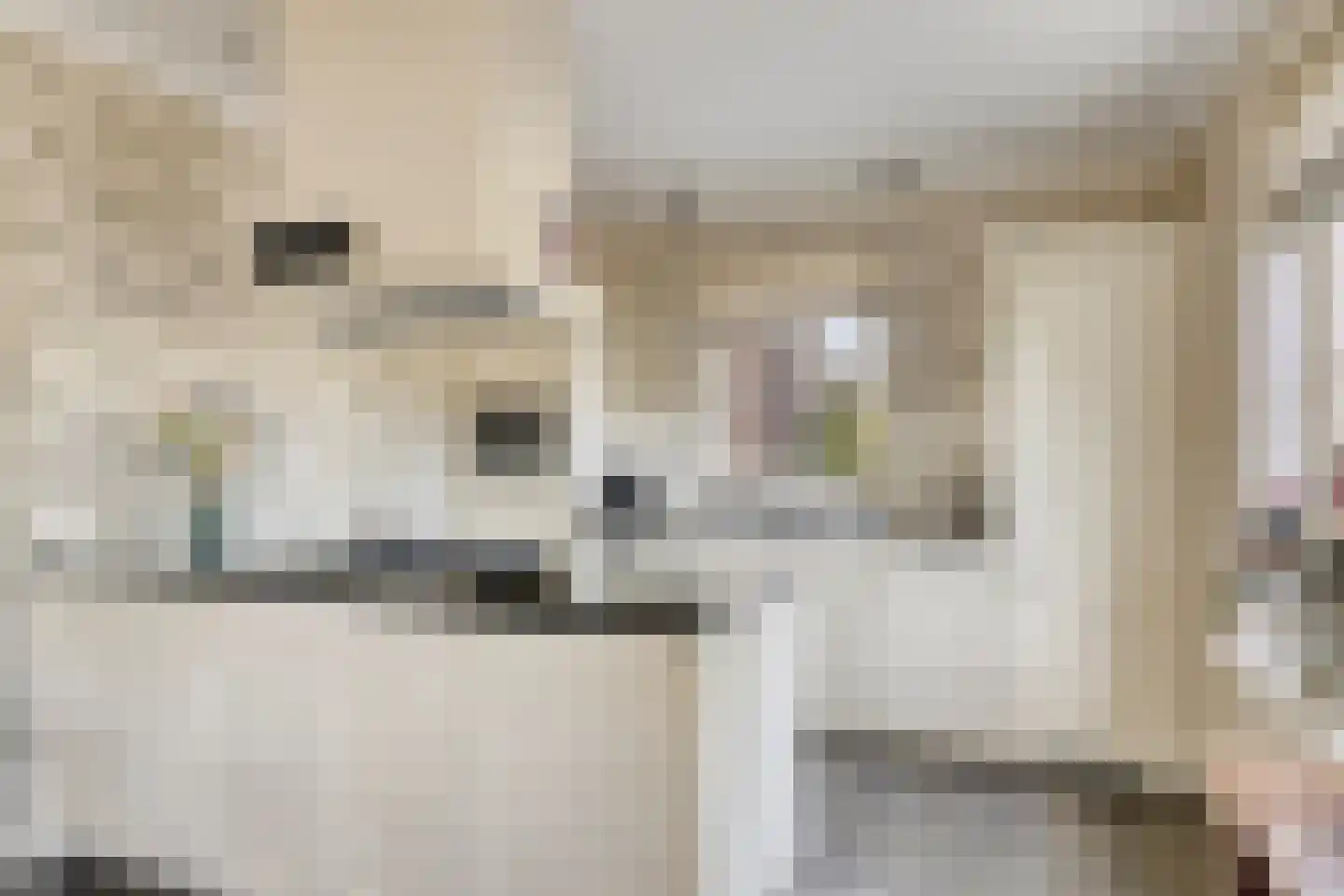 Het Bosje 31 Elst Ut thumbnail 21
