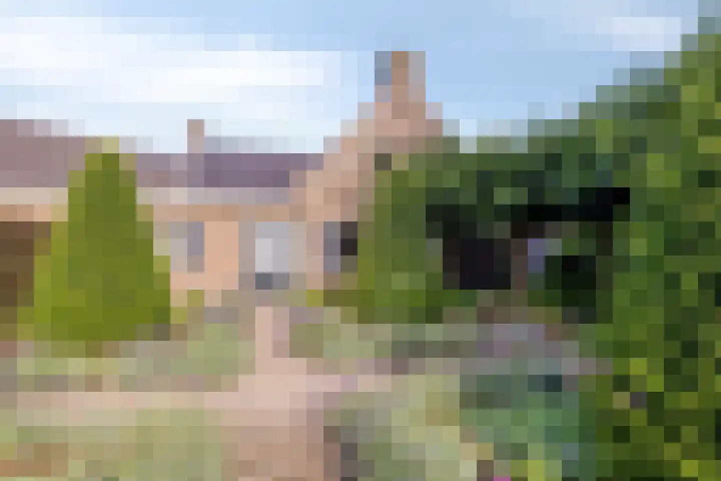 Het Bosje 31 Elst Ut foto 3