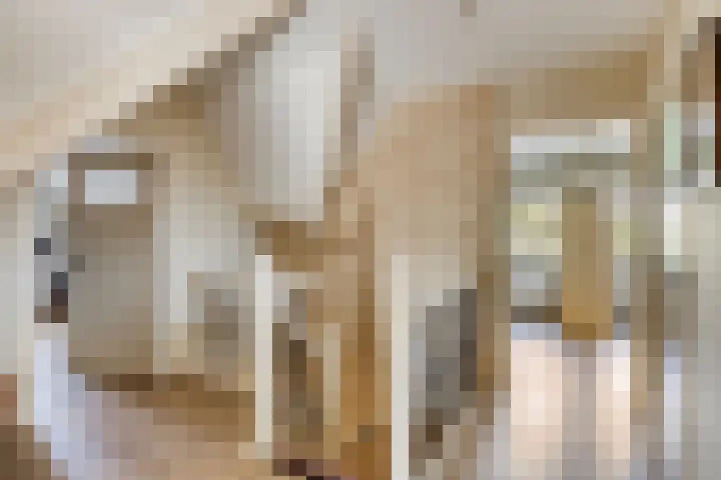 Het Bosje 31 Elst Ut thumbnail 33